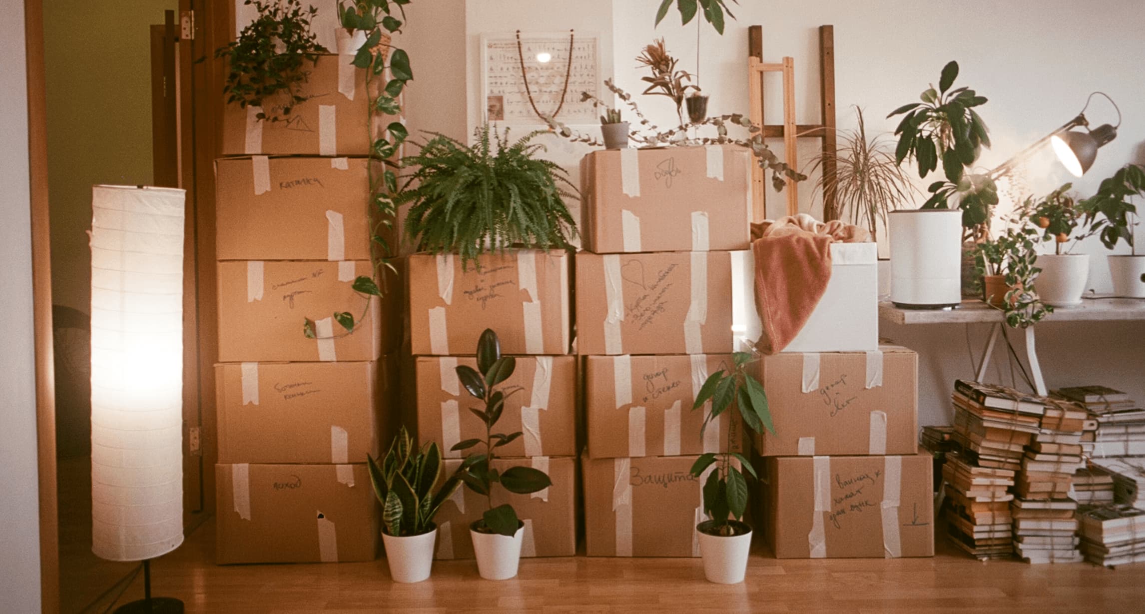 Stop Losing Things in Boxes: A Practical System for Every Move